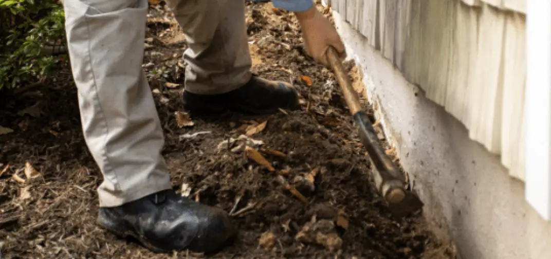 termite tenching near me png